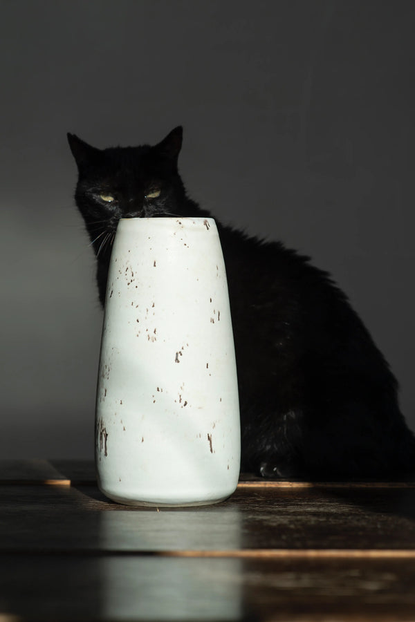 Japanese ceramic vase white